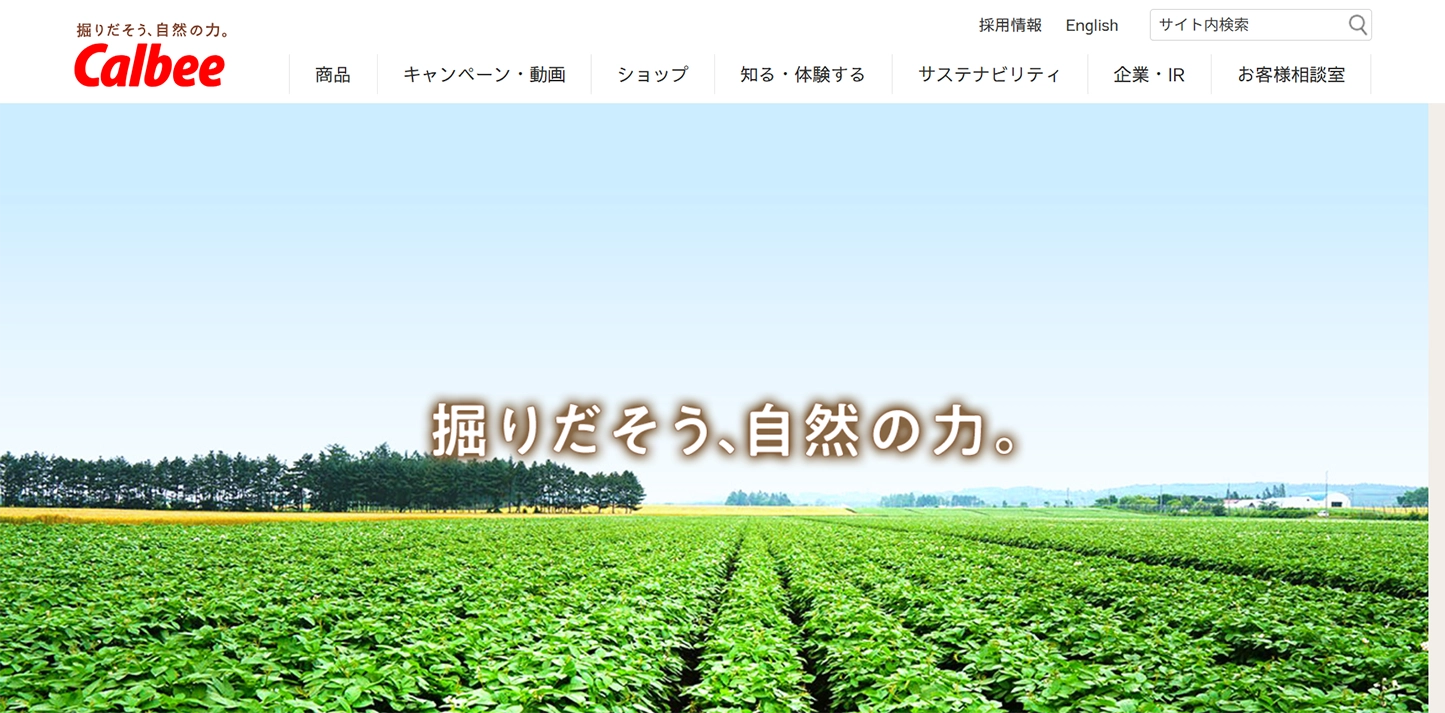 No.026 カルビー – Webサイト分析