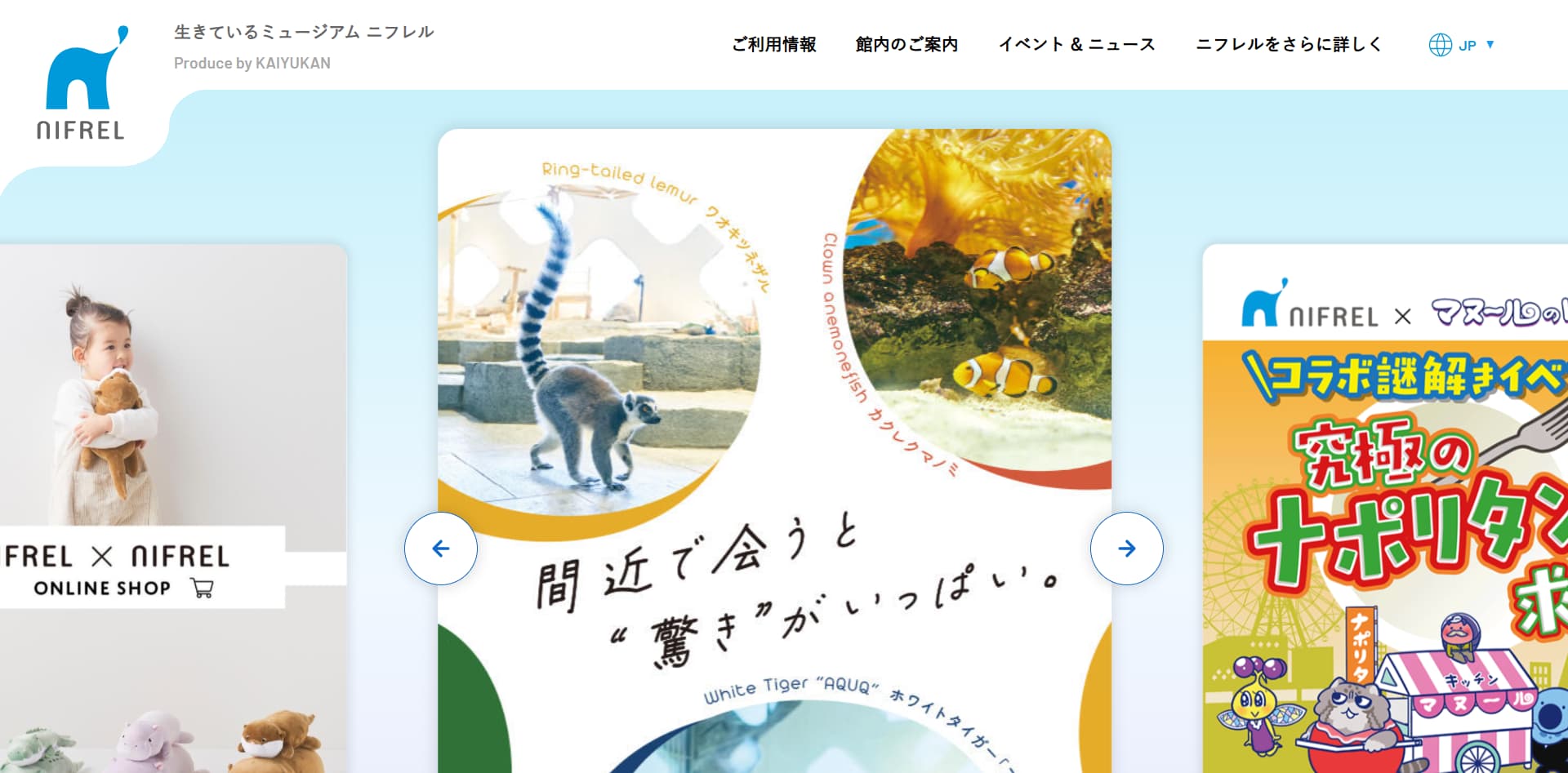 No.091 NIFREL – Webサイト分析